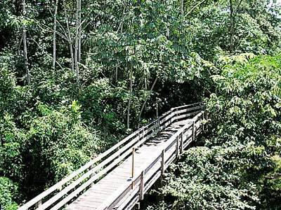 Pakaas Palafita Lodge Guayaramerim Екстериор снимка